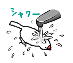 Java sparrow 's Sticker 3 sticker #9556713