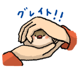 Java sparrow 's Sticker 3 sticker #9556716