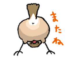 Java sparrow 's Sticker 3 sticker #9556717