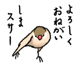 Java sparrow 's Sticker 3 sticker #9556718