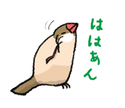 Java sparrow 's Sticker 3 sticker #9556719