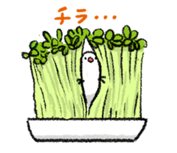 Java sparrow 's Sticker 3 sticker #9556721