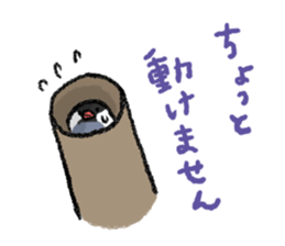 Java sparrow 's Sticker 3 sticker #9556724