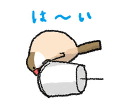 Java sparrow 's Sticker 3 sticker #9556725
