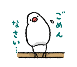 Java sparrow 's Sticker 3 sticker #9556729
