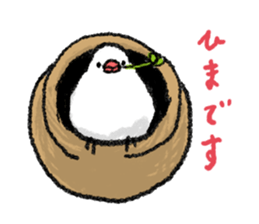 Java sparrow 's Sticker 3 sticker #9556730
