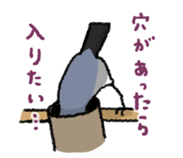 Java sparrow 's Sticker 3 sticker #9556733