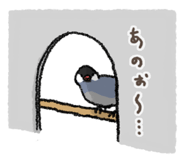 Java sparrow 's Sticker 3 sticker #9556735