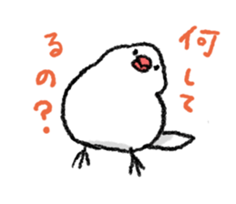 Java sparrow 's Sticker 3 sticker #9556736