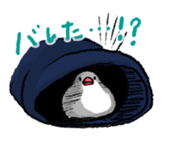 Java sparrow 's Sticker 3 sticker #9556737