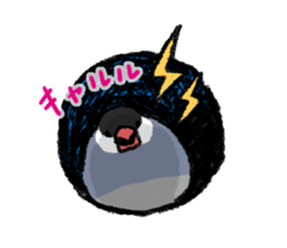 Java sparrow 's Sticker 3 sticker #9556740