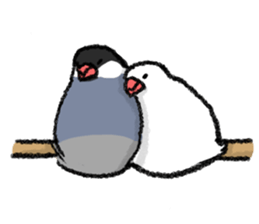 Java sparrow 's Sticker 3 sticker #9556743