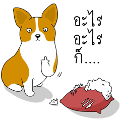INDY DOG
