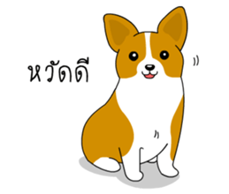 A-L design