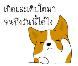 INDY DOG sticker #9560649