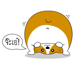 INDY DOG sticker #9560662
