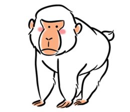 Hey! Monkey! sticker #9562558
