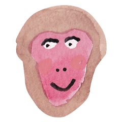 Face of the monkey
