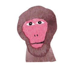 Face of the monkey sticker #9563424