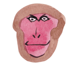 Face of the monkey sticker #9563427