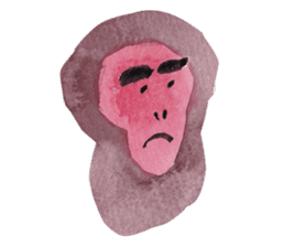 Face of the monkey sticker #9563429