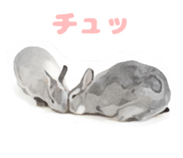 Netherland Dwarf(rabbit) Kotetsu Sticker sticker #9563548