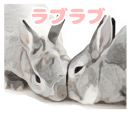 Netherland Dwarf(rabbit) Kotetsu Sticker sticker #9563549