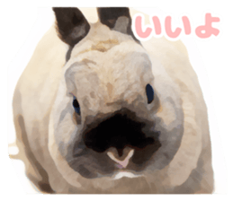 Netherland Dwarf(rabbit) Kotetsu Sticker sticker #9563561