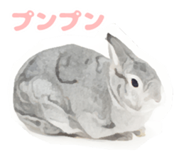 Netherland Dwarf(rabbit) Kotetsu Sticker sticker #9563572
