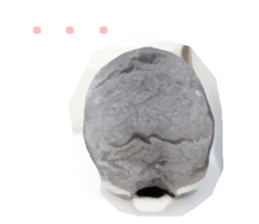 Netherland Dwarf(rabbit) Kotetsu Sticker sticker #9563573