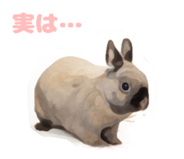 Netherland Dwarf(rabbit) Kotetsu Sticker sticker #9563575