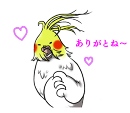 Creatures such as the cockatiel sticker #9564544