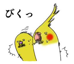 Creatures such as the cockatiel sticker #9564547