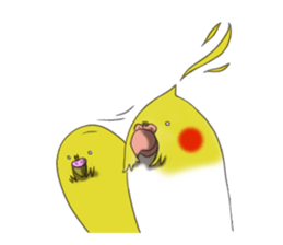 Creatures such as the cockatiel sticker #9564548