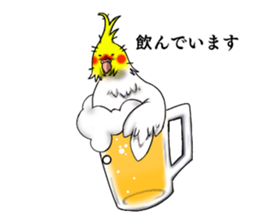 Creatures such as the cockatiel sticker #9564549