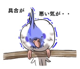 Creatures such as the cockatiel sticker #9564550