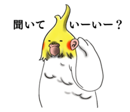 Creatures such as the cockatiel sticker #9564553