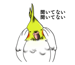 Creatures such as the cockatiel sticker #9564554