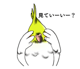 Creatures such as the cockatiel sticker #9564556