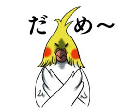 Creatures such as the cockatiel sticker #9564558