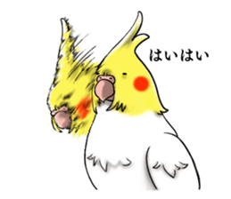 Creatures such as the cockatiel sticker #9564559