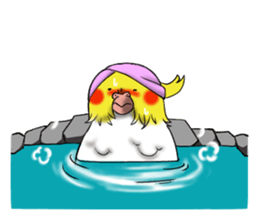 Creatures such as the cockatiel sticker #9564563