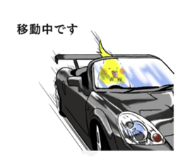 Creatures such as the cockatiel sticker #9564564