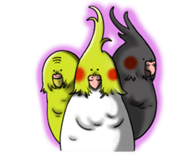 Creatures such as the cockatiel sticker #9564566