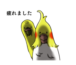 Creatures such as the cockatiel sticker #9564570