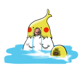 Creatures such as the cockatiel sticker #9564573