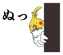 Creatures such as the cockatiel sticker #9564578