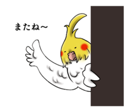 Creatures such as the cockatiel sticker #9564579