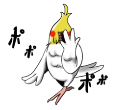 Creatures such as the cockatiel sticker #9564580