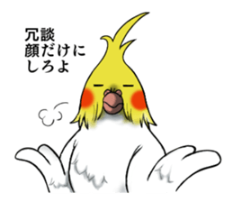Creatures such as the cockatiel sticker #9564581